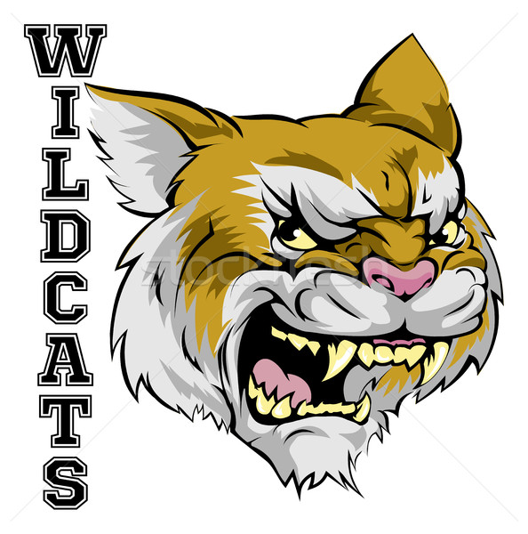 Wildcats Mascot Stock photo © Krisdog