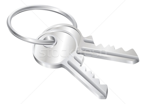 Two keys on a keyring illustration Stock photo © Krisdog
