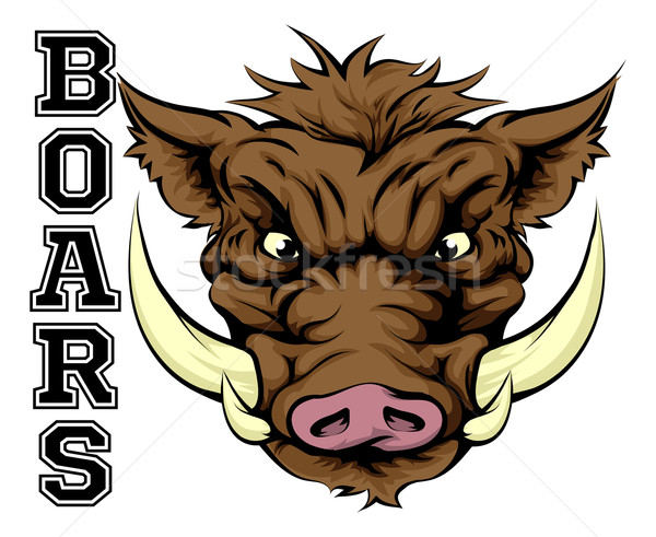 Boars Sports Mascot Stock photo © Krisdog