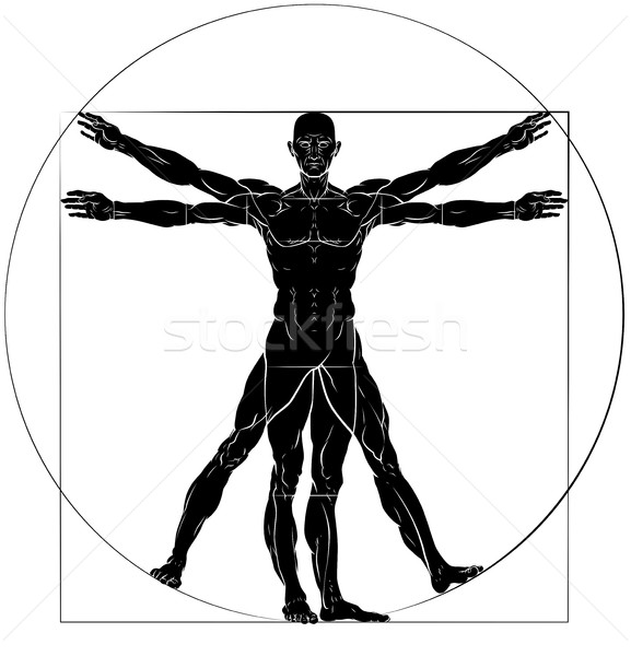 Vitruvian Man Da Vinci Style Figure Stock photo © Krisdog