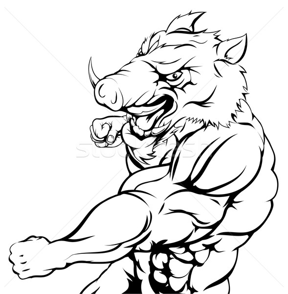 Stock photo: Tough boar character punch