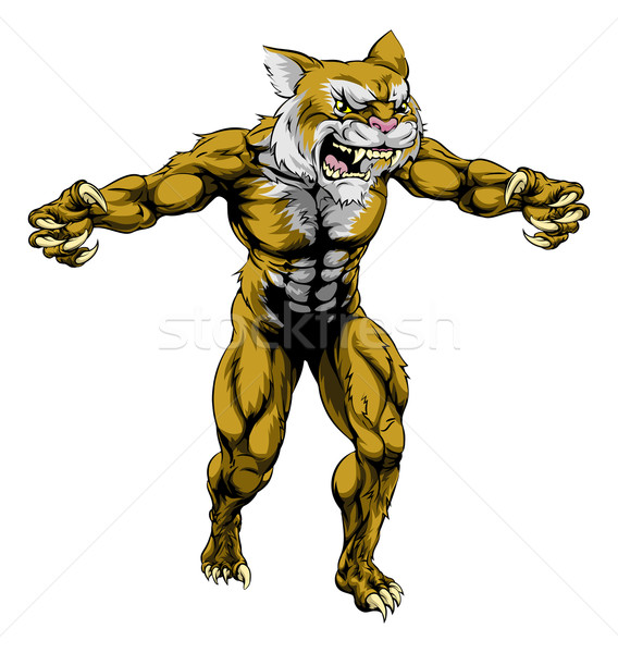 Wildcat scary sports mascot Stock photo © Krisdog