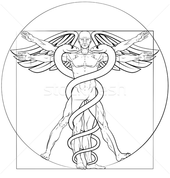 Vitruvian Man Caduceus  Stock photo © Krisdog