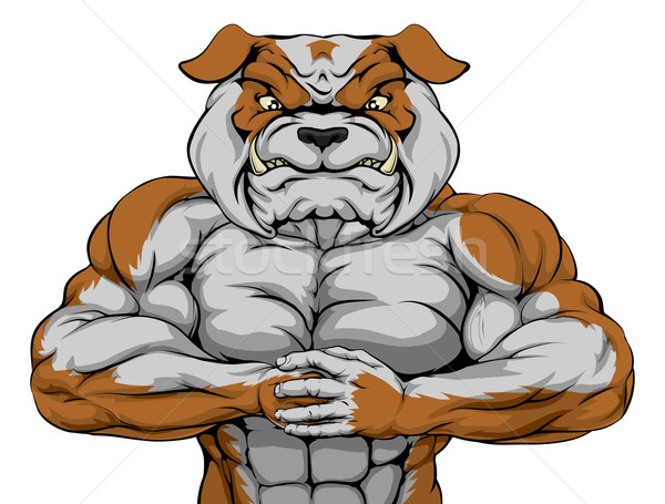 Bulldog mascotte résistant musculaire personnage prêt [[stock_photo]] © Krisdog
