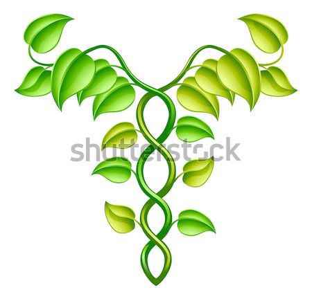 Médicos marihuana canabis planta símbolo hojas Foto stock © Krisdog