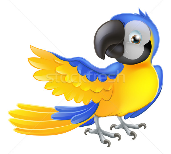 Cute blue and yellow parrot Stock photo © Krisdog