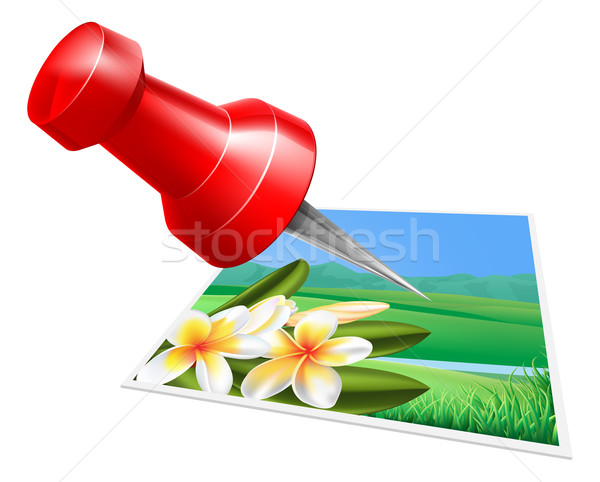 Pinning photo icon Stock photo © Krisdog