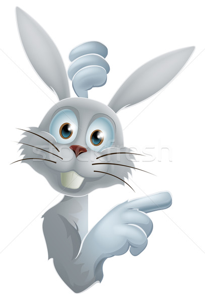 Easter bunny pointing at sign Stock photo © Krisdog