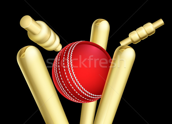 Cricket Ball Breaking Wicket Stumps Stock photo © Krisdog