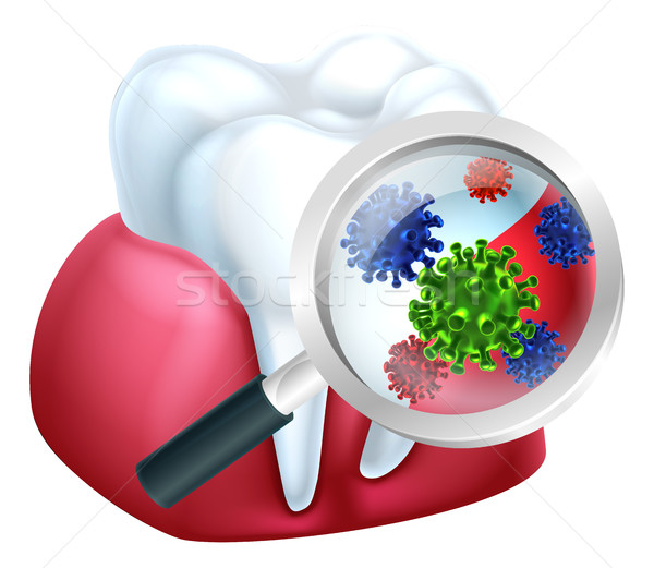 Magnifying Glass Tooth Gum Bacteria Concept Stock photo © Krisdog