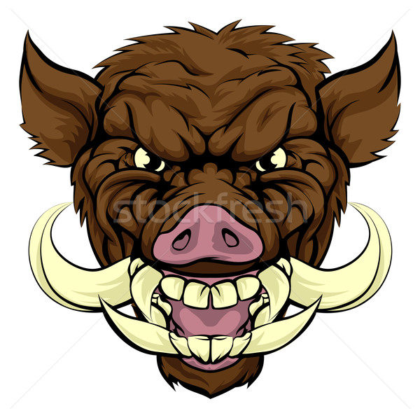 Boar Mascot Stock photo © Krisdog