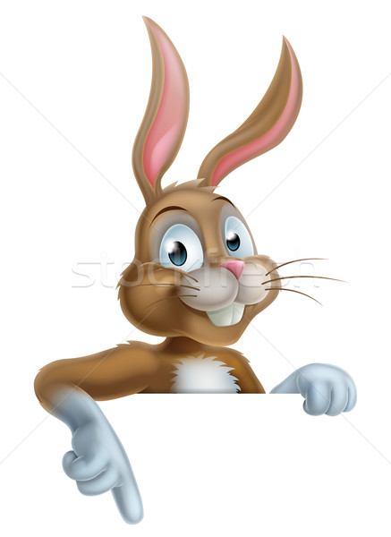 Пасхальный заяц кролик указывая Cartoon глядя знак Сток-фото © Krisdog