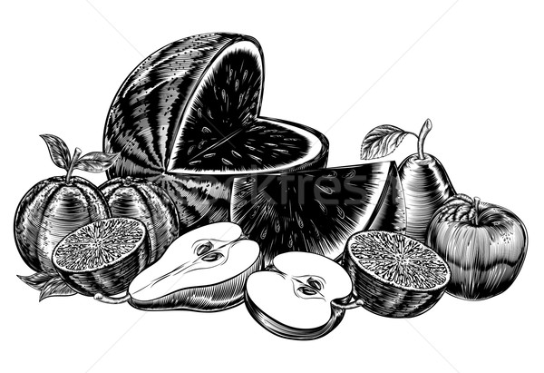 Stock photo: Vintage Woodcut Fruit