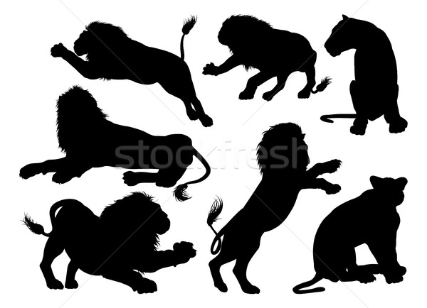 Stock photo: Silhouette Lions