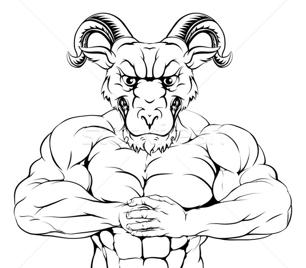 Imagine de stoc: Puternic · berbec · mascota · greu · muscular