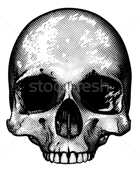 Skull Design Stock photo © Krisdog