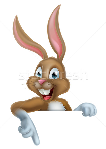 Пасхальный заяц кролик указывая вниз Cartoon Пасху Сток-фото © Krisdog