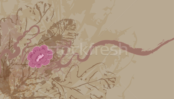 leafy floral background Stock photo © Krisdog