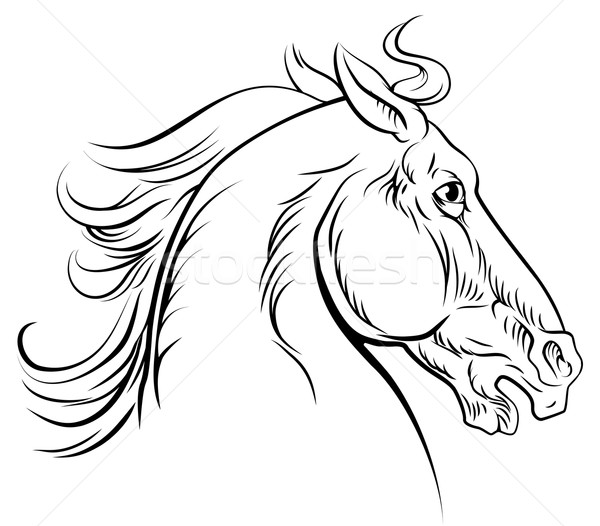 Foto stock: Vintage · estilo · caballo · original · ilustración · cabeza