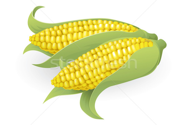 Tasty sweetcorn illustration Stock photo © Krisdog