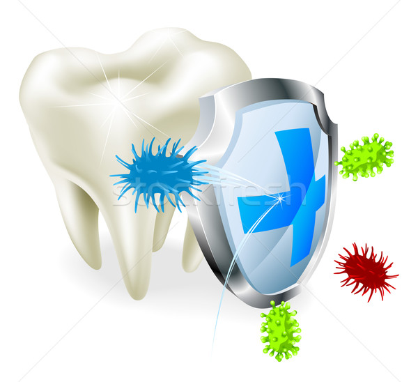 Tooth and shield concept Stock photo © Krisdog