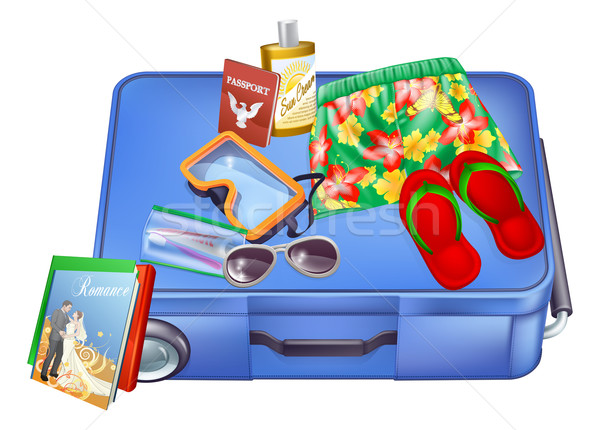Suitcase and vacation items Stock photo © Krisdog