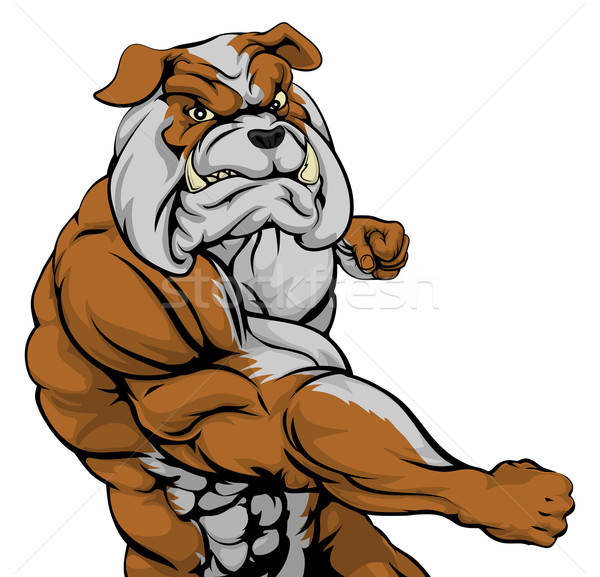 Mean bulldog mascot fighting Stock photo © Krisdog