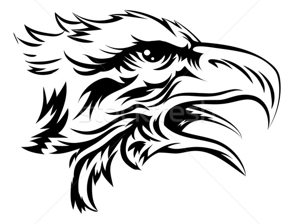 Eagle head Stock photo © Krisdog
