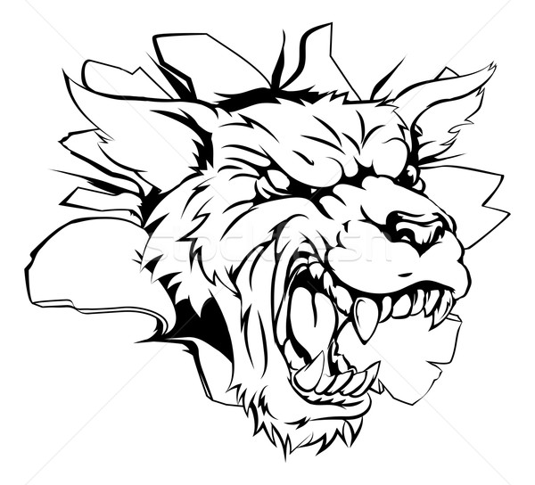 Lobo cabeza pared ilustración perro cara Foto stock © Krisdog