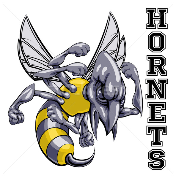 Hornets Mascot Stock photo © Krisdog