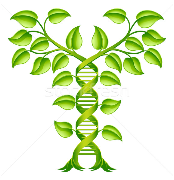 DNA Plant Double Helix Concept Stock photo © Krisdog