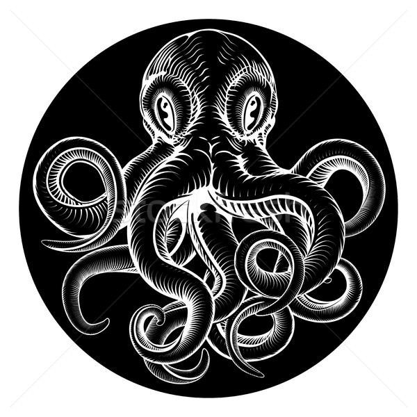 Octopus vintage gegraveerd stijl origineel inktvis Stockfoto © Krisdog