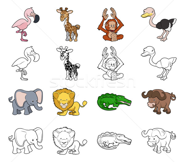 Cartoon Safari животного набор цвета Сток-фото © Krisdog