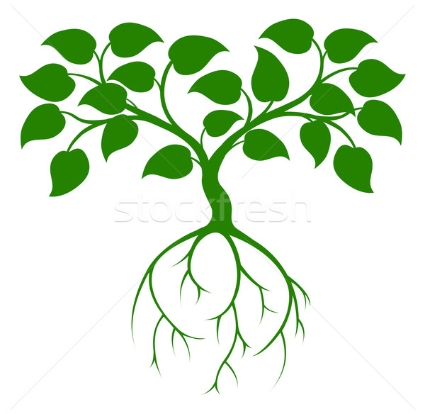 [[stock_photo]]: Arbre · vert · illustration · graphique · longtemps · racines · arbre