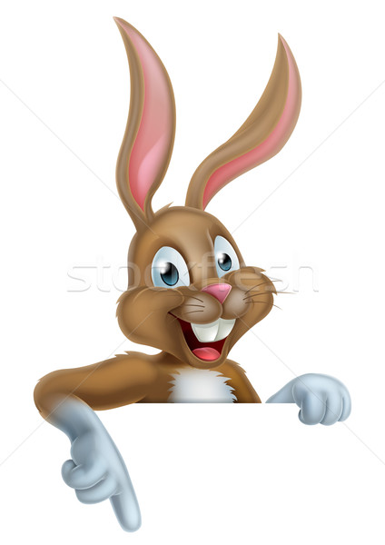 Пасхальный заяц кролик знак счастливым Cartoon указывая Сток-фото © Krisdog