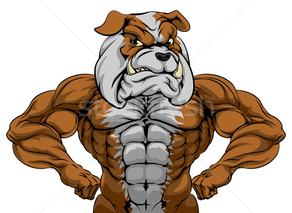 Bulldog sport mascotte cartoon taai sterke Stockfoto © Krisdog