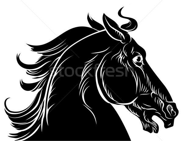 Horse head illustration Stock photo © Krisdog