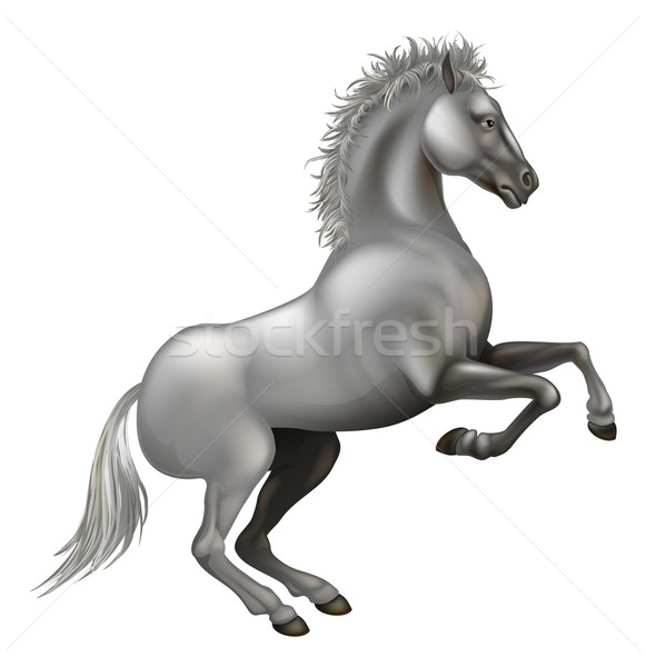 Rearing white horse Stock photo © Krisdog