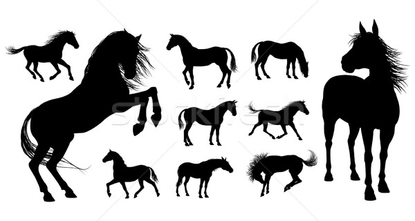 Horse Silhouettes Stock photo © Krisdog