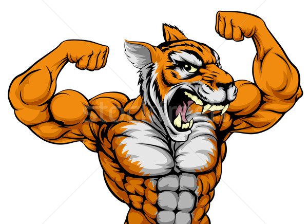 Foto stock: Tigre · mascota · fuerte · animales · deportes · listo