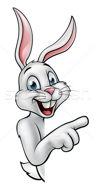 Conejo Conejo de Pascua senalando Cartoon alrededor signo Foto stock © Krisdog