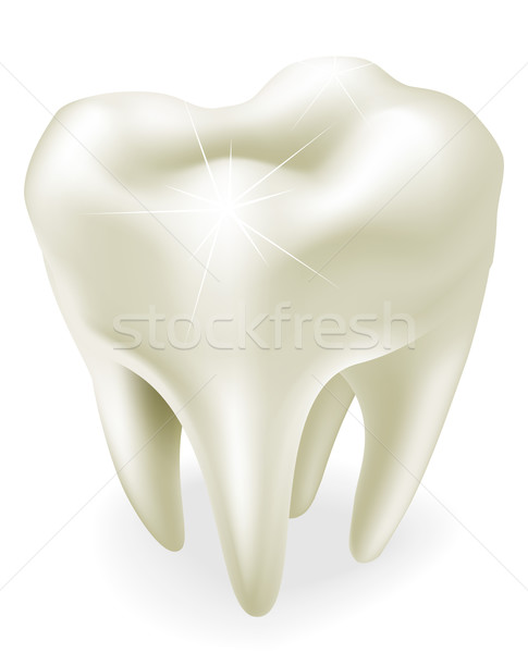Tooth illustration Stock photo © Krisdog