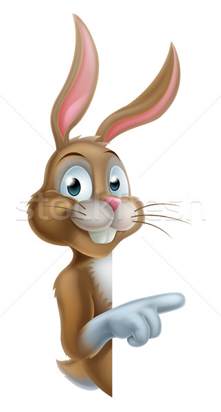 Пасхальный заяц характер указывая Cartoon кролик Пасху Сток-фото © Krisdog