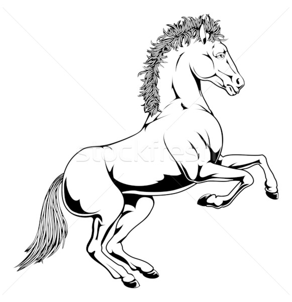 Black and white horse illustration Stock photo © Krisdog