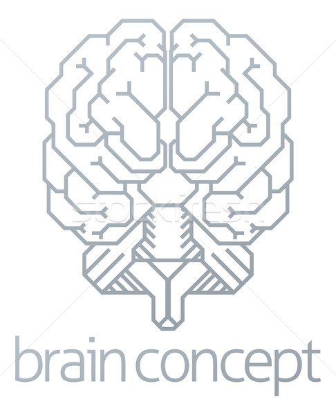 Brain Front Concept Stock photo © Krisdog