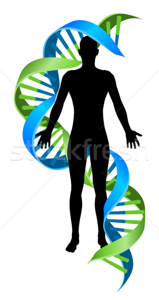 Double Helix DNA Chromosome Strand Human Figure Stock photo © Krisdog