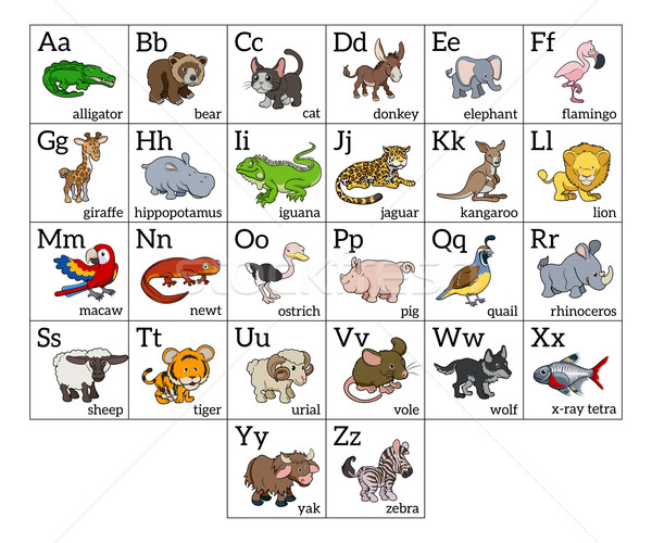 Cartoon Animal Alphabet Chart Stock photo © Krisdog