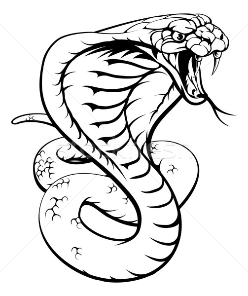 Foto d'archivio: Cobra · serpente · illustrazione · re · bianco · nero · natura