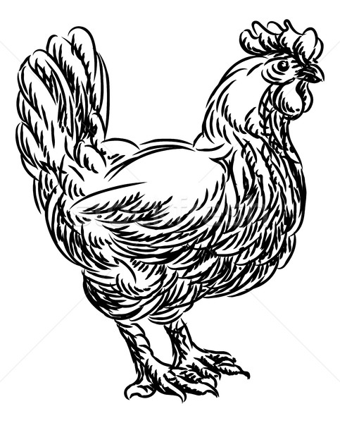 Chicken Rooster Food Grunge Style Hand Drawn Icon Stock photo © Krisdog
