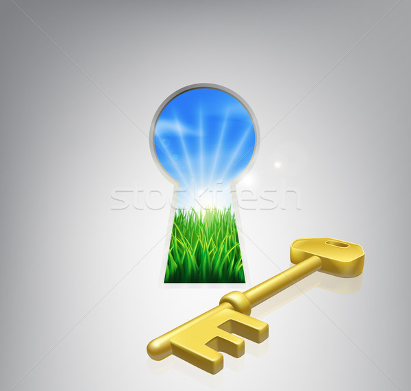 Key to happiness concept Stock photo © Krisdog
